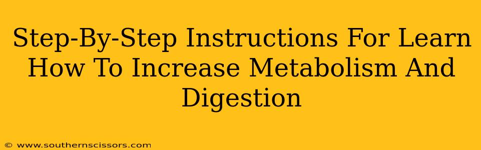 Step-By-Step Instructions For Learn How To Increase Metabolism And Digestion